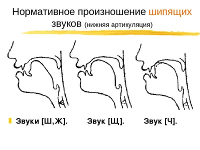 Стенд-книжка Артикуляция звуков (ID#604881655), цена: 852 ₴, купить на  