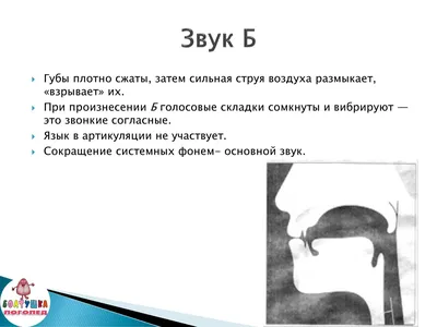 Способи постановки звука «Р» | Інклюзивно - ресурсний центр Верхнянської  сільської ради