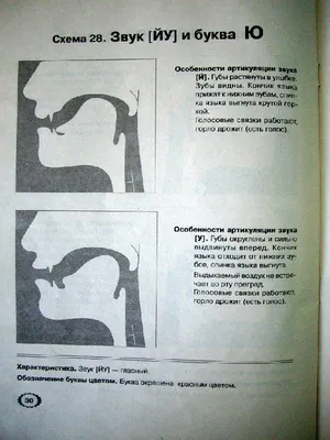 Иллюстрация 6 из 15 для Артикуляция звуков в графическом изображении.  Учебно-демонстрационный материал | Лабиринт - книги.