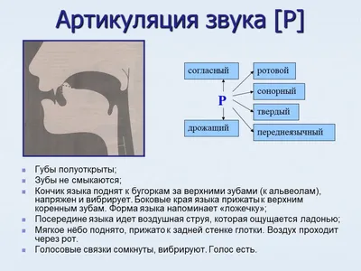 Развивающие игры на постановку и автоматизация звука и буквы C —  