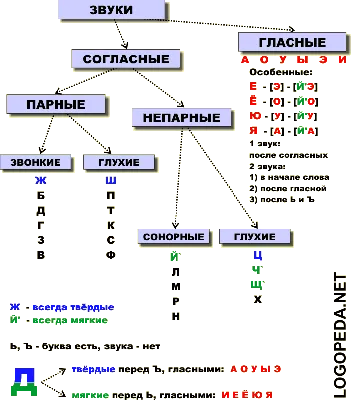 Схемы артикуляции звуков. Блог Лого-Эксперт