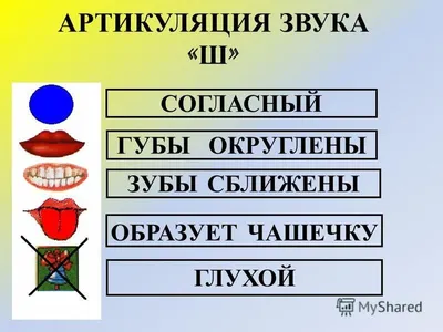 Презентация на тему: "Звук [Ш] Буква Ш. Дыхательная гимнастика: Помоги  Гномику распушить бородку. 1.Набери воздуха в живот. 2.Округли губы.  3.Равномерно с силой выдыхай воздух.". Скачать бесплатно и без регистрации.