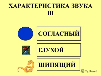 Логопедические упражнения на звук «Ш» для ребенка | Дефектология Проф