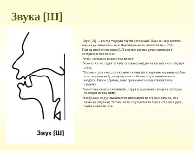 Артикуляционная гимнастика для постановки шипящих звуков Различия в