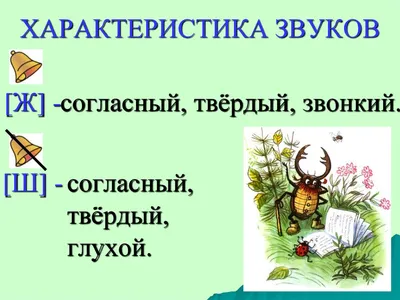 Логопед Томилина Светлана Михайловна. Зонд для постановки шипящих со  ступенькой - YouTube