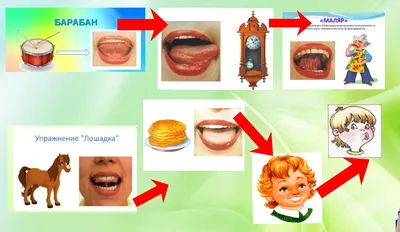 Артикуляционная гимнастика для детей | Артикуляциионные упражнения, Дети,  Гимнастика