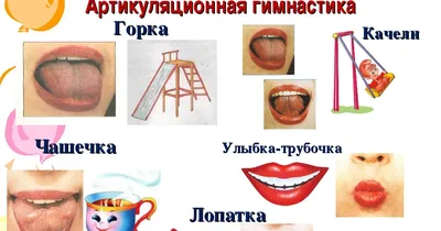 ᵔ ᵔ Брайчук М.В. - учитель-дефектолог: Артикуляционная гимнастика