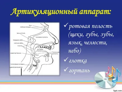 Горловое пение отличный способ расширить возможности игры на варгане | Эр  Соготох | Дзен