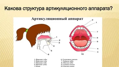 Волкова - тест