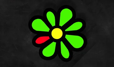 Приложение ICQ: установка, настройка, перенос