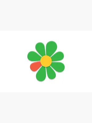 What is ICQ and CCQ in Teaching? - DigiNo