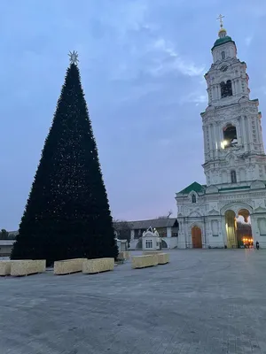 В Астрахани установили самую большую и главную елки города | Газета ВОЛГА