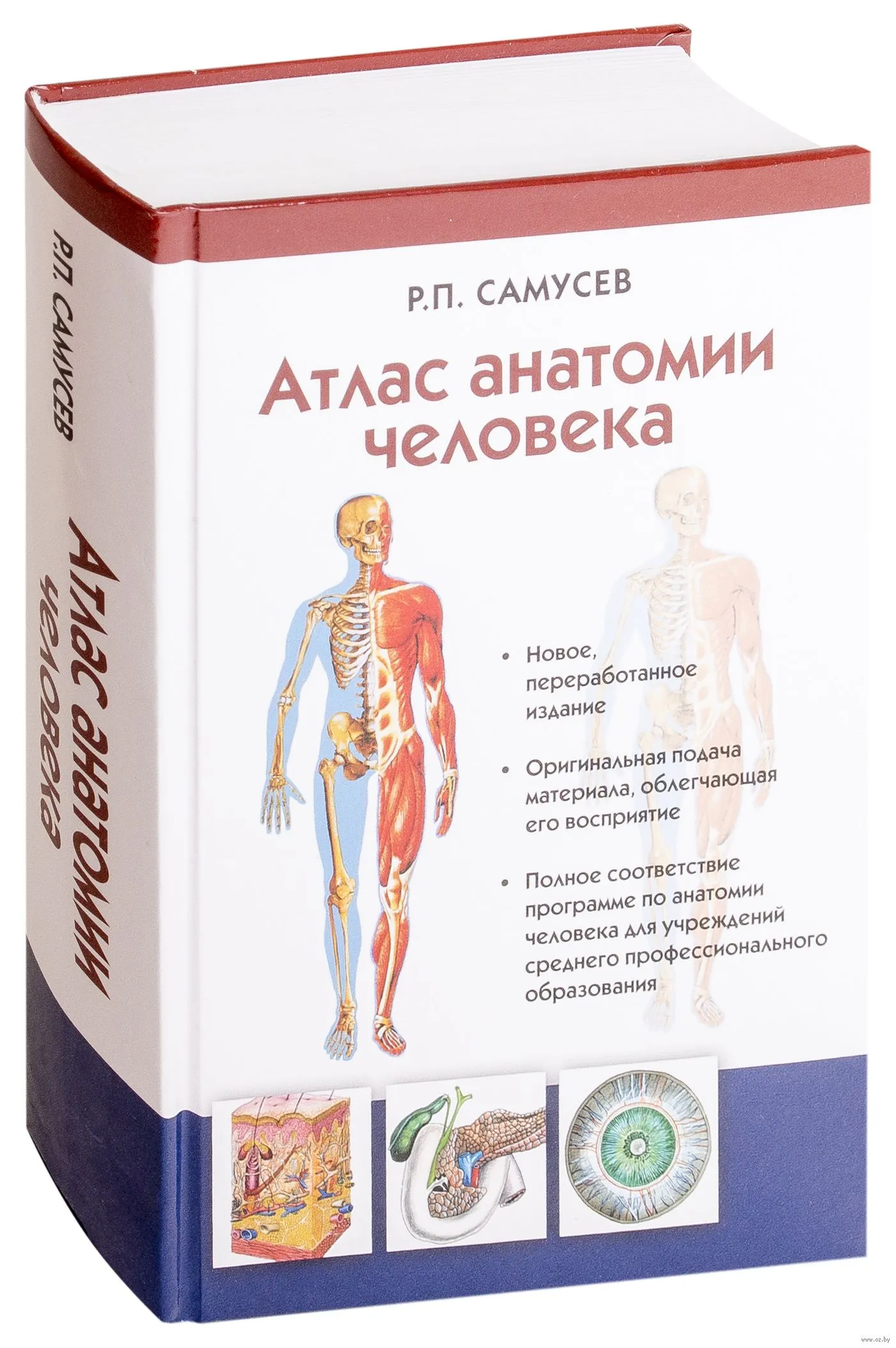 Анатомия липченко самусев. Анатомический атлас Самусев. Атлас анатомия человека р.п Самусев. Анатомия человека книга Самусев. Самусев р п атлас анатомии человека 1 издание.