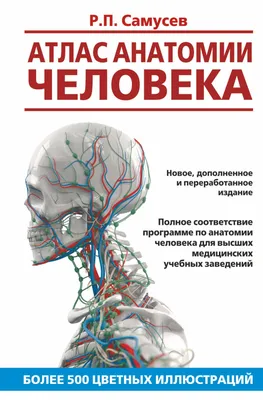 Купить sobotta. атлас анатомии человека. т. 2 / под ред. ф. паульсен, й.  вашке. - 2 изд. - м. : логосфера, 2021 на 