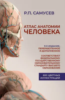 Атлас анатомии человека | AliExpress