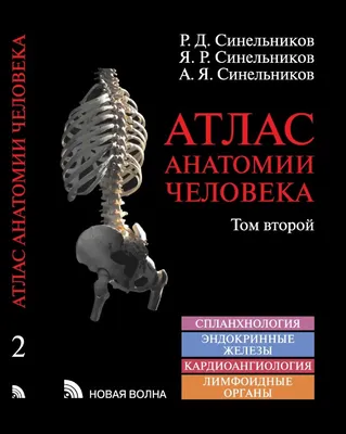 Атлас анатомии человека: 1 000 грн. - Книги / журнали Київ на Olx