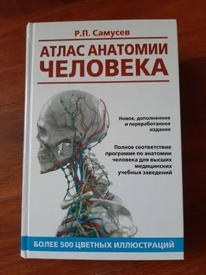 Книга "Атлас анатомии и физиологии человека. Учебное пособие для студентов  учреждений среднего профессионального образования" - купить в Германии |  