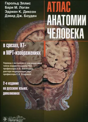 Джарми К. Современный атлас анатомии человека. Карманное пособие Book in  Russian | eBay