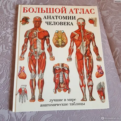 Купить книгу Атлас анатомии человека с дополненной реальностью Спектор А.А.  | 