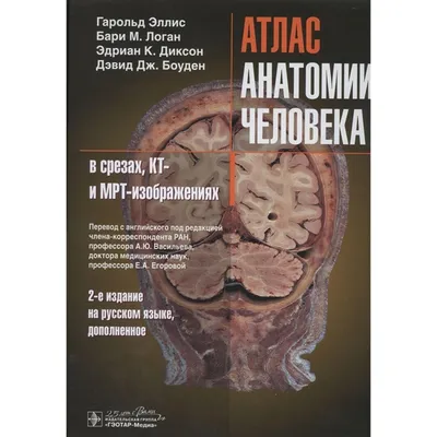 Купить Атлас анатомии человека в срезах, КТ и МРТ-изображениях (5517991) в  Крыму, цены, отзывы, характеристики | Микролайн