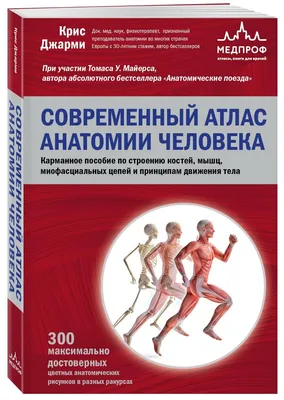 Атлас анатомии человека, А. А. Спектор – скачать pdf на ЛитРес