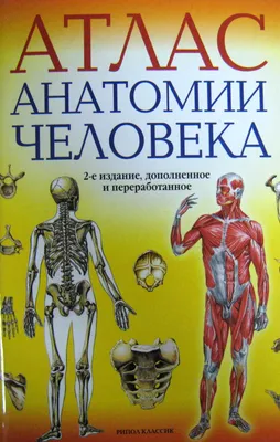 Большой атлас анатомии человека Издательство АСТ 2149584 купить в  интернет-магазине Wildberries