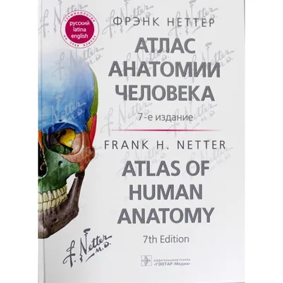 Большой атлас анатомии человека — купить книги на русском языке в DomKnigi  в Европе