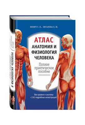 Карла Стекко «Полный атлас анатомии человека. Мышечно-фасциальные цепи» ,  перев.с англ. А.Антваер.- Москва изд. АСТ, 2022 – Институт клинической  прикладной кинезиологии