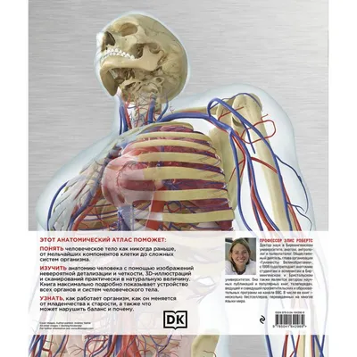 Атлас анатомии и физиологии человека. Учебное пособие купить с доставкой в  интернет-магазине | 