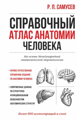 Робертс Э.: Атлас анатомии человека. Подробное иллюстрированное  руководство: купить книгу по выгодной цене в интернет-магазине Marwin |  Алматы