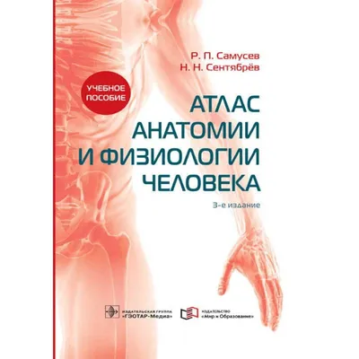 Справочный атлас анатомии человека Самусев АСТ купить | Усть-Каменогорск.  VITA Мир