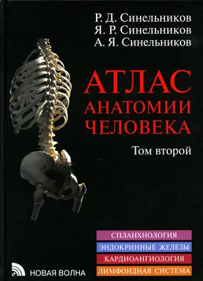 Книга Атлас анатомии человека - купить здравоохранения, медицины в  интернет-магазинах, цены на Мегамаркет | 1050