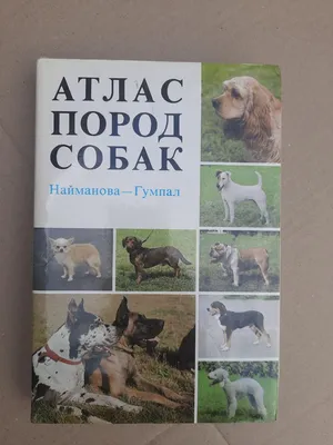 Атлас пород собак: ши-тцу собака …» — создано в Шедевруме