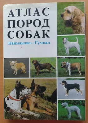 Обзор всех пород собак, утвержденных ФЦИ | Породы собак, Самая большая  собака, Собаки