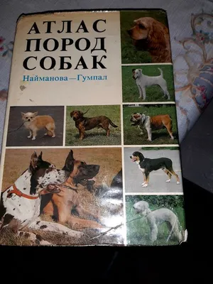 Книга Атлас пород собак 150 c. №10414533 дар ш. Душанбе - Китоб ва  маҷаллаҳо -  эълонҳои ройгон