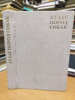 Переноска для собак средних и крупных пород FERPLAST CARRIER ATLAS 60 GREY,  61 x 91 x h 68 cm купить 🐾 BiZOOn