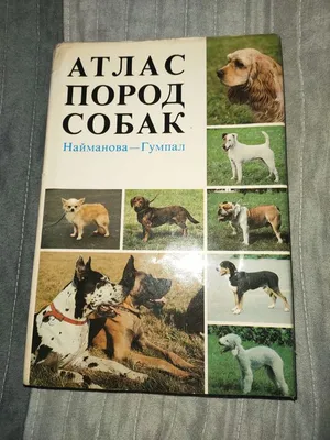 Й. Найман, Й. Новотны. Атлас пород собак | Новотны Йозеф, Найман Йозеф -  купить с доставкой по выгодным ценам в интернет-магазине OZON (701292690)