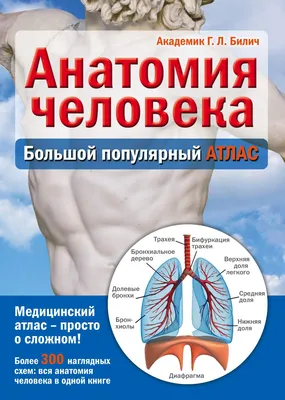 Анатомия человека. Атлас: учебное пособие. В 3 томах. Том 2. Внутренние  органы. (Габриэль Билич) - купить книгу с доставкой в интернет-магазине  «Читай-город». ISBN: 978-5-97-042542-8