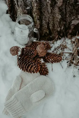 Новогодние фотографии/картинки | Пейзажи, Зимние картинки, Живописные  пейзажи