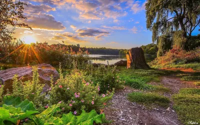 август природа красиво: 10 тыс изображений найдено в Яндекс.Картинках |  Tree photography, Psychic readings, Psychic readings free