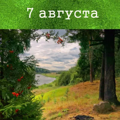 Август | Природа Рядом | Дзен