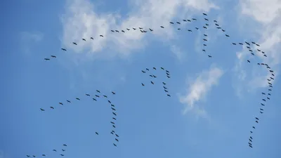 Никогда столько не видел": увиденное в небе над городом озадачило людей  (фото) - 