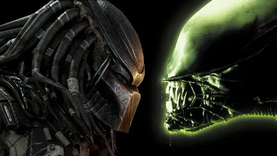 AVP: Alien vs. Predator – Design Studio Press