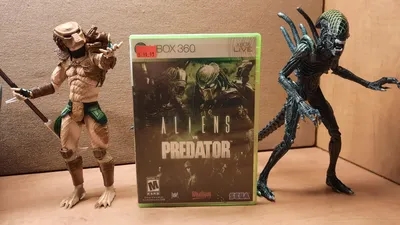 AVP Scar Predator Collectible Figure | Predator alien, Predator, Predator 1