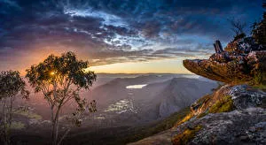 Фотографии Австралия Warrumbungles National Park Горы Природа Леса