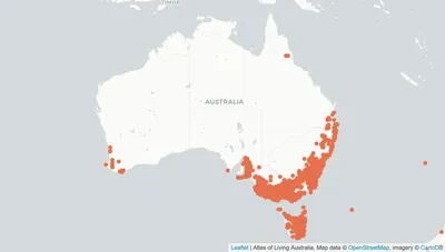 Учитель: опишите Австралию одной картинкой Я: ф 14 И 521 ф 2.5 тыс. 0 /  Австралия :: динго поедает акулу пока две змеи занимаются сексом ::  скриншот / смешные картинки и другие