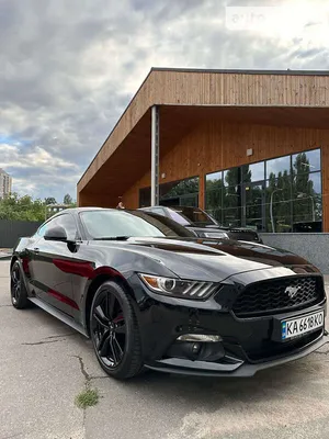 Used 2019 FORD MUSTANG SHELBY GT-H (Heritage) For Sale ($115,750) | Reggia  Auto Group Stock #R1035