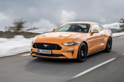 10 of the Best Special Edition Ford Mustangs From Past to Present