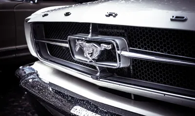 Ford Introduced the Seventh Generation of Mustang at Detroit Auto Show,  Check Details | HT Auto