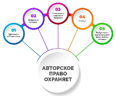 Авторские права на картинки